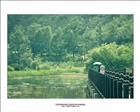 dailyPhoto14